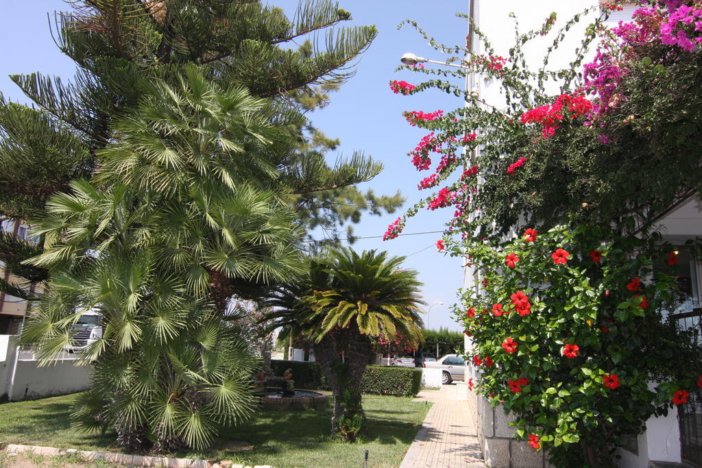 Hotel Sol Benicarlo Bagian luar foto